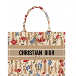 DIOR Small Book Tote